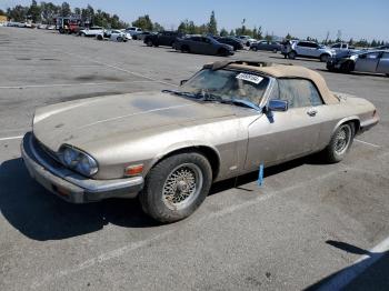  Salvage Jaguar Xjs