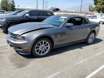  Salvage Ford Mustang