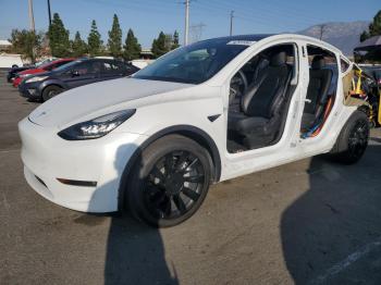  Salvage Tesla Model Y