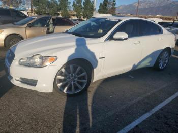  Salvage Jaguar XF