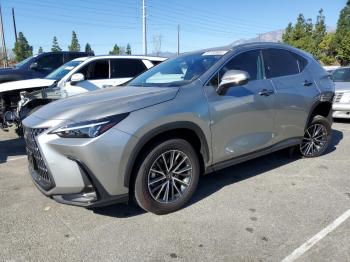  Salvage Lexus NX