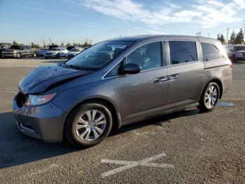  Salvage Honda Odyssey