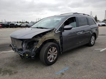  Salvage Honda Odyssey