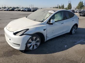  Salvage Tesla Model Y