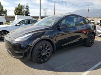  Salvage Tesla Model Y