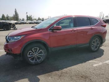  Salvage Honda Crv