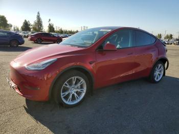  Salvage Tesla Model Y