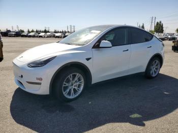  Salvage Tesla Model Y