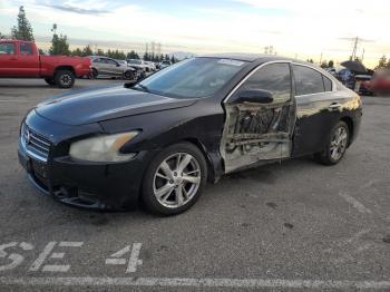  Salvage Nissan Maxima