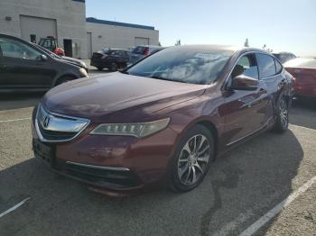  Salvage Acura TLX