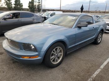  Salvage Ford Mustang