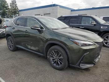  Salvage Lexus NX