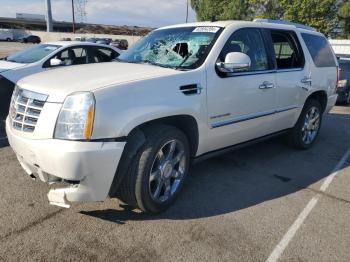  Salvage Cadillac Escalade