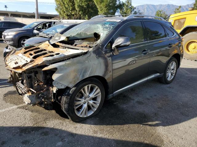  Salvage Lexus RX