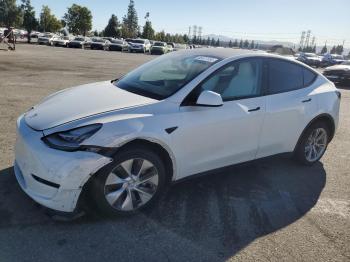  Salvage Tesla Model Y