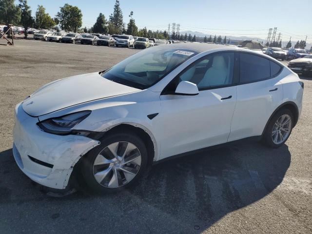  Salvage Tesla Model Y