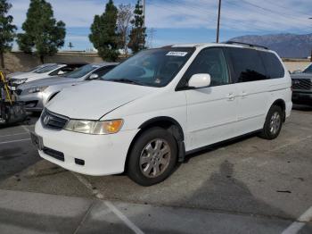  Salvage Honda Odyssey