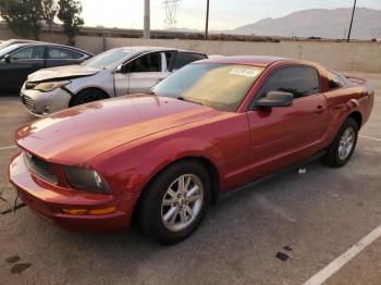  Salvage Ford Mustang