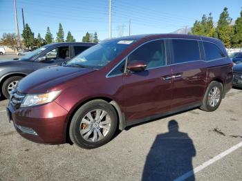  Salvage Honda Odyssey