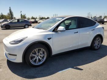  Salvage Tesla Model Y