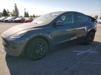  Salvage Tesla Model Y