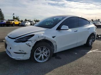  Salvage Tesla Model Y