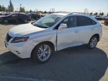  Salvage Lexus RX