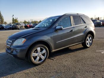  Salvage Mercedes-Benz M-Class