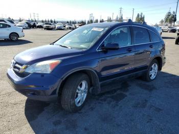  Salvage Honda Crv