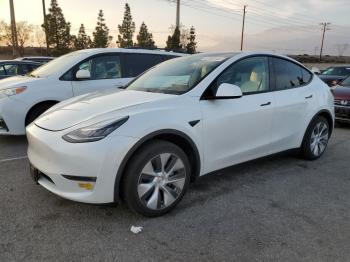  Salvage Tesla Model Y