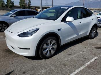  Salvage Tesla Model Y