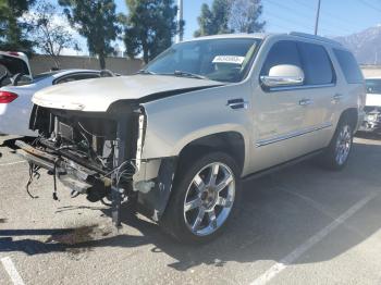  Salvage Cadillac Escalade