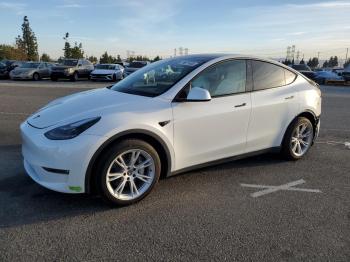  Salvage Tesla Model Y