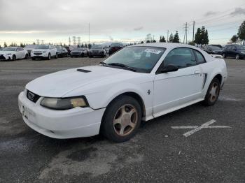  Salvage Ford Mustang