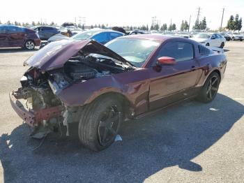  Salvage Ford Mustang