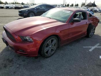  Salvage Ford Mustang