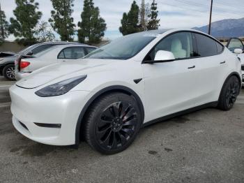  Salvage Tesla Model Y