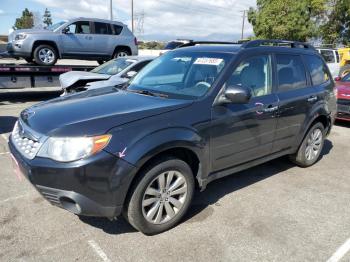  Salvage Subaru Forester