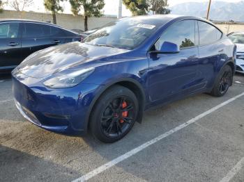  Salvage Tesla Model Y