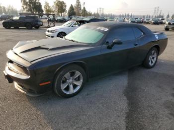  Salvage Dodge Challenger