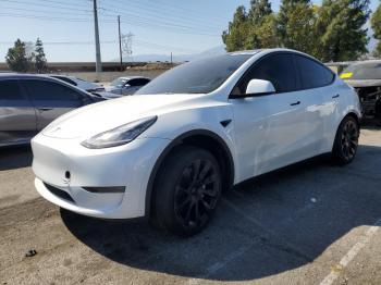  Salvage Tesla Model Y