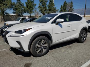  Salvage Lexus NX
