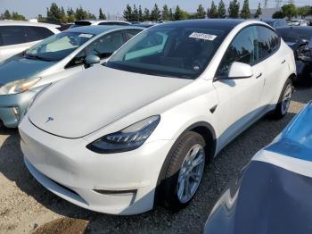  Salvage Tesla Model Y