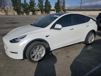  Salvage Tesla Model Y