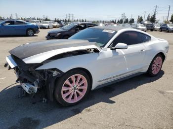  Salvage Ford Mustang