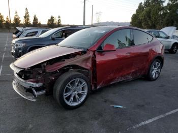  Salvage Tesla Model Y