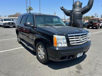  Salvage Cadillac Escalade