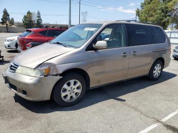  Salvage Honda Odyssey