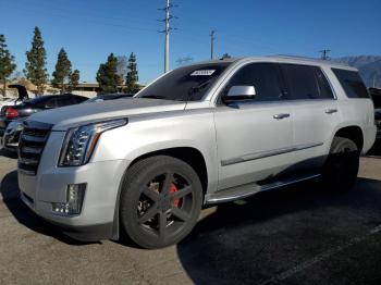  Salvage Cadillac Escalade