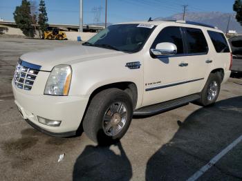  Salvage Cadillac Escalade